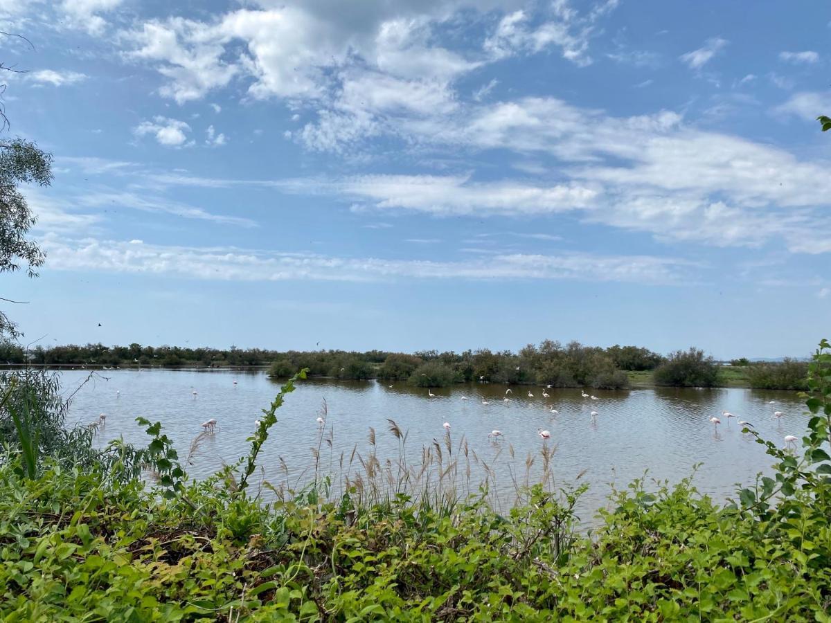 New Jungle Lake - Clim - Wifi - Draps & Serviettes - Bbq - 10' Des Plages Лат Екстер'єр фото